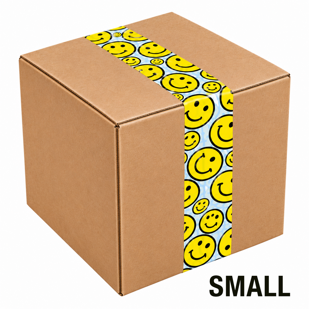 Mystery Box | SMALL
