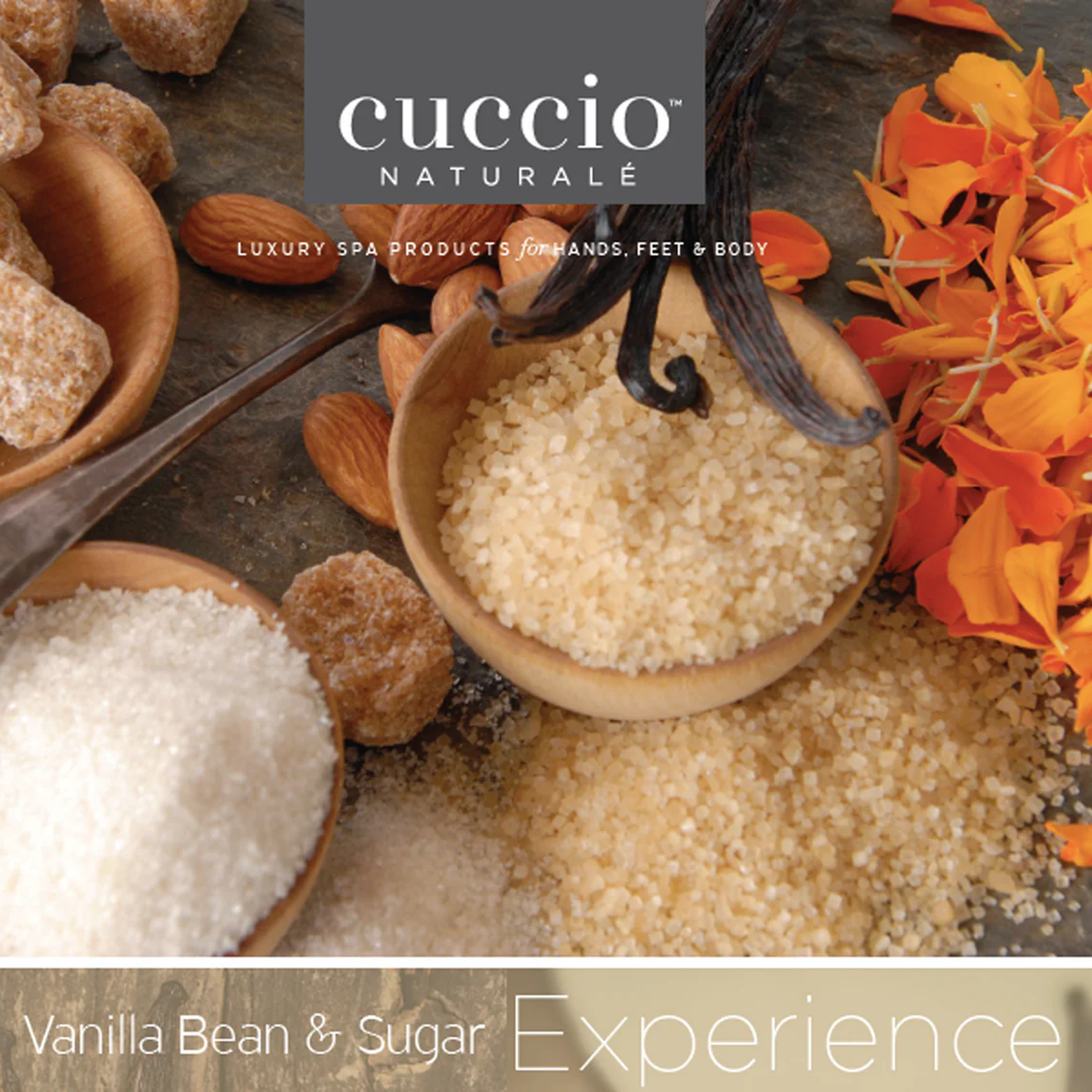 Cuccio Spa Essentials Kit | Vanilla Bean & Sugar