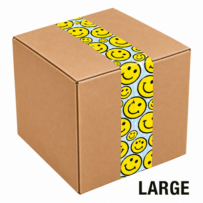 Mystery Box | LARGE