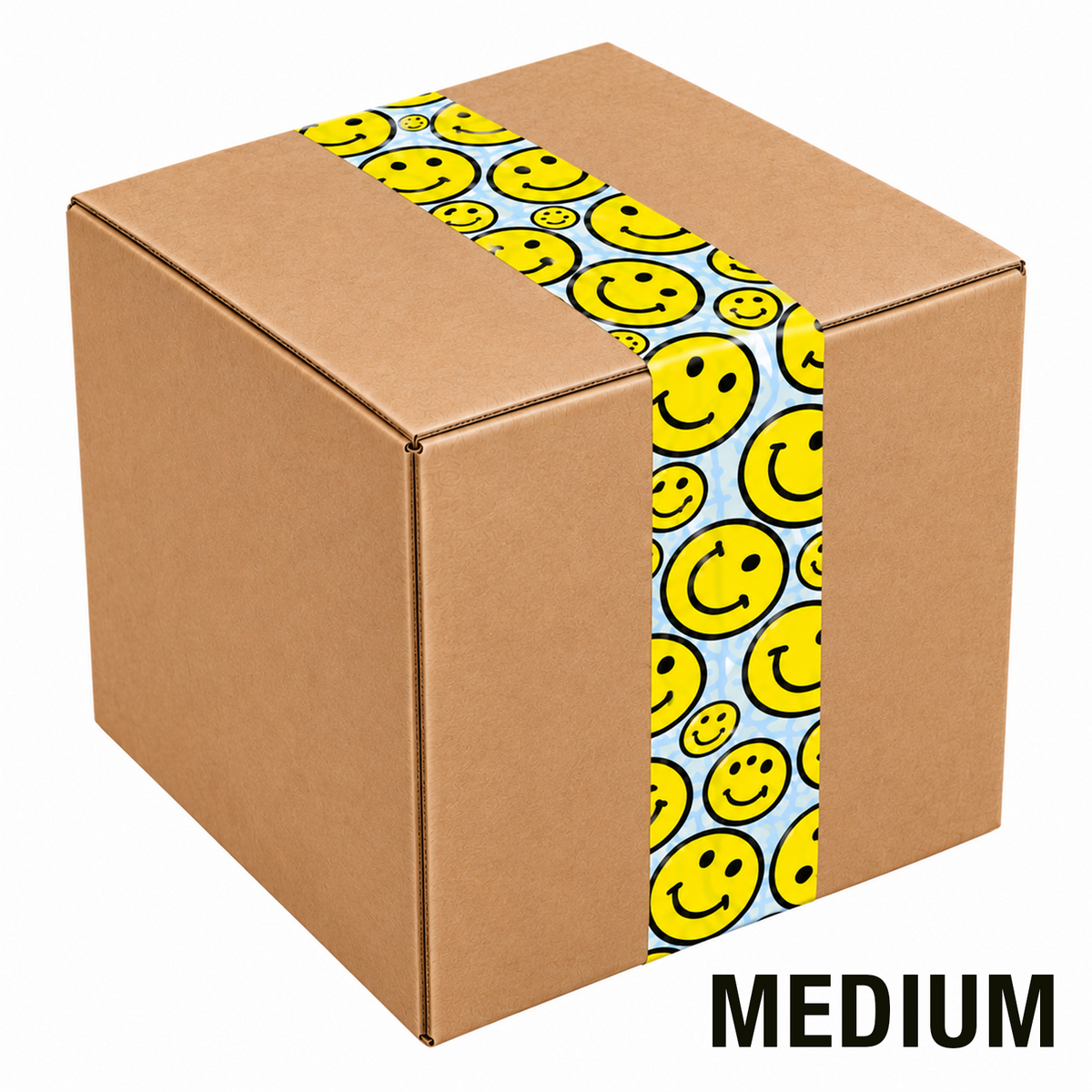 Mystery Box | MEDIUM