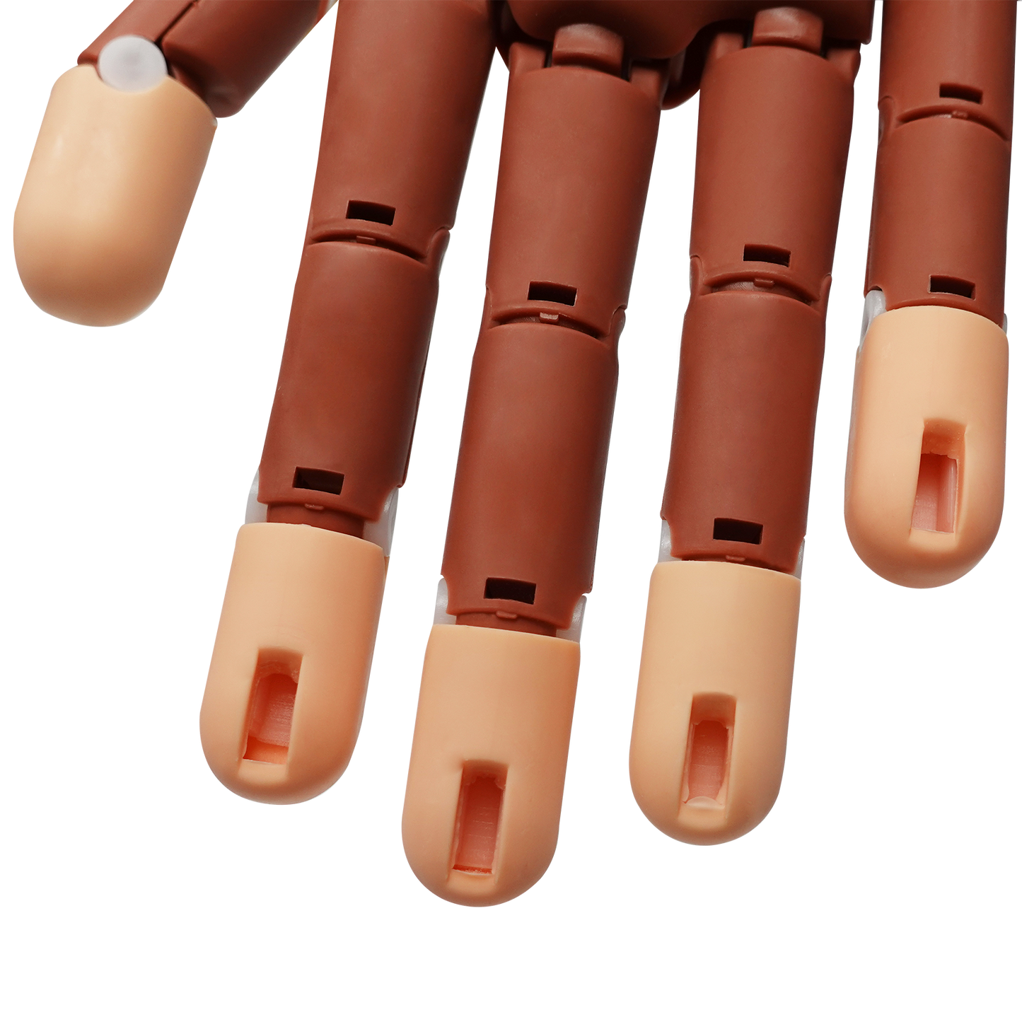 Americanails Professional Practice Hand with Acrylic Training Mat System