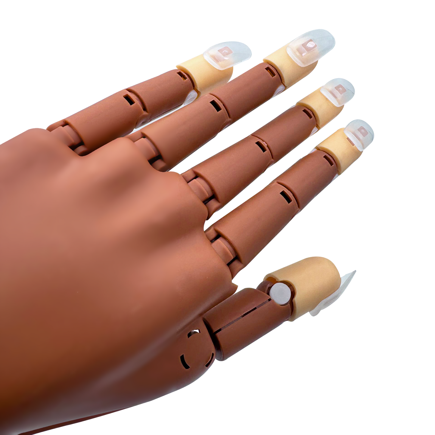 Americanails Professional Practice Hand with Acrylic Training Mat System
