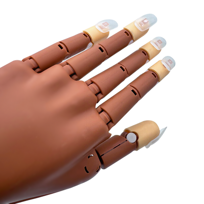 Americanails Professional Practice Hand with Acrylic Training Mat System